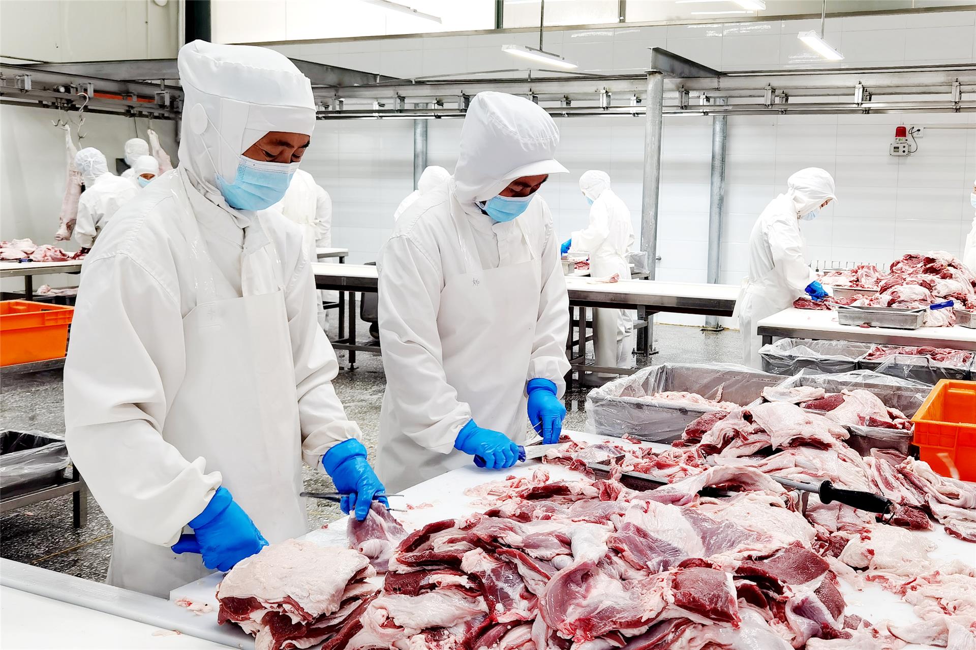 阿荣旗:夯实"稳"的基础 显现"进"的势头